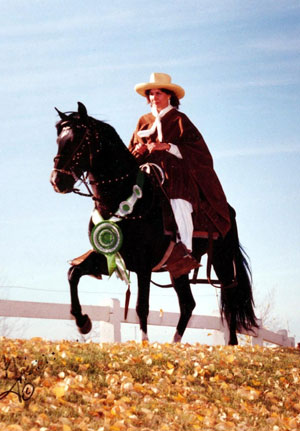 Peruvian Paso Horse