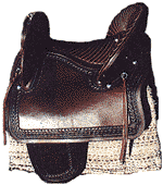 Peruvian Paso Horse