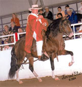 RDLF Aro de Luna+