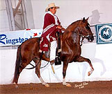 Astro del Norte PERR+