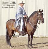 Baron CHR++