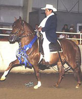 Espejo de Peru+